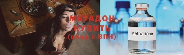 прущие грибы Сафоново