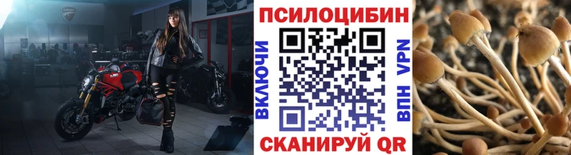 блэк спрут зеркало Малоархангельск Псилоцибиновые грибы ЛСД